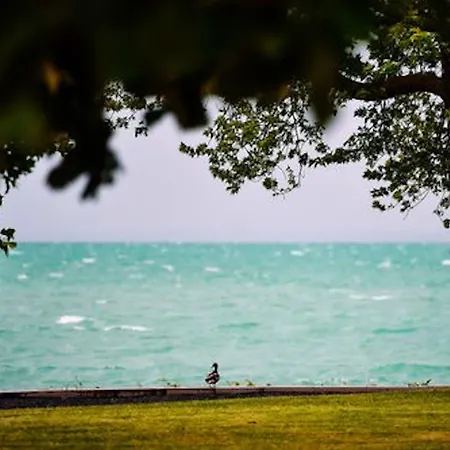 Lägenhetshotell Oliver Lux 4*